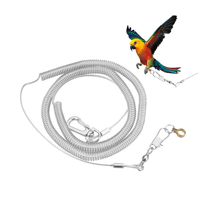 6 mètres de perroquet en expansion Safe Rope Clear Tether Coil Strap protection contre les vols pour les oiseaux